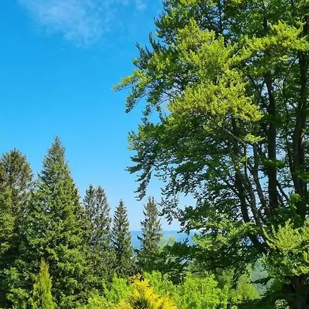 Gościnne Przy Kościele Wang.